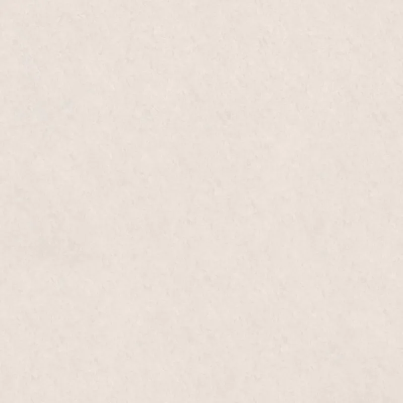 Beige 100.2