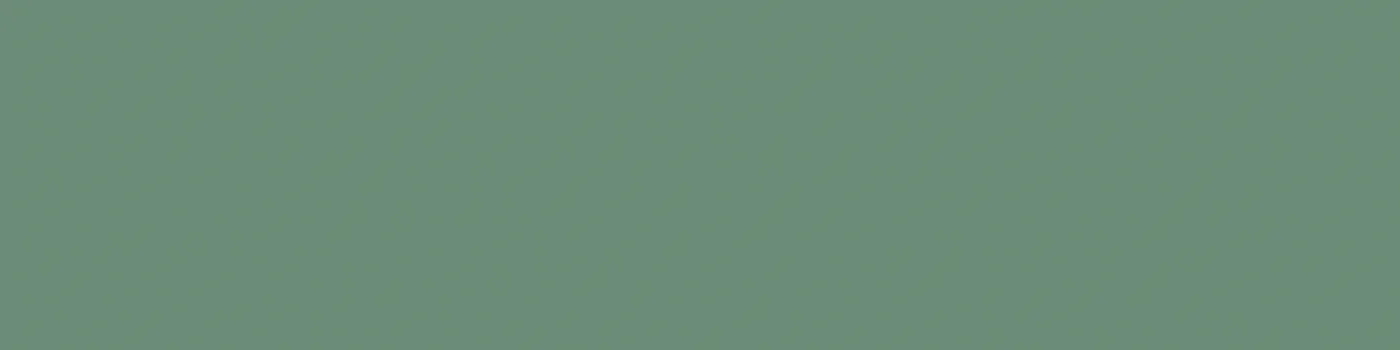 Colore 300.17