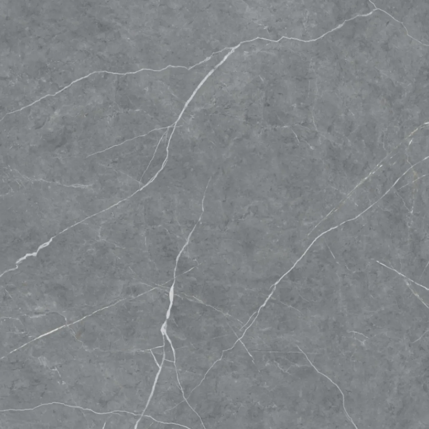 Marmo grigio 100.3